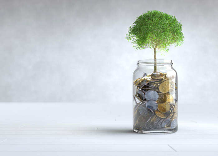 Gaji UMR Bukan Halangan, Ini Tips Investasi Reksadana untuk Pemula yang Wajib Dicoba