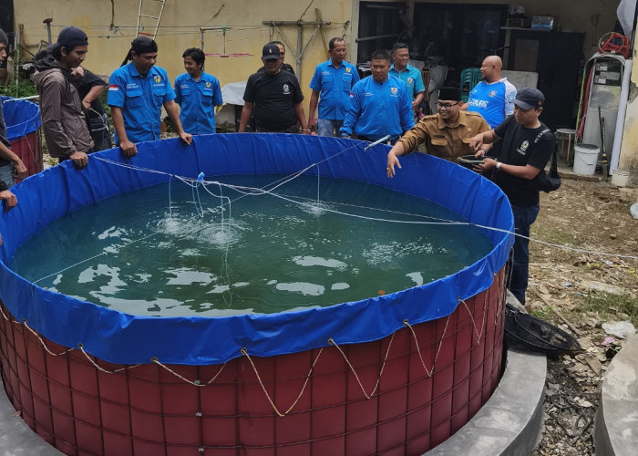 KNPI Kota Cirebon Ubah Lahan Sempit Jadi Mesin Ekonomi untuk Kemandirian Pemuda