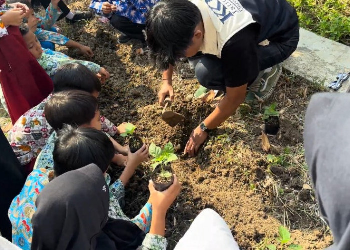 Belajar Bertani Sejak Dini, Mahasiswa KKN Unma Ajari Siswa SD Budidaya Cabai