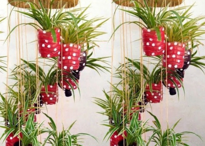 6 Tanaman Hias Hidroponik Indoor untuk Rumah Minimalis, Cocok di Sudut Sempit Tanpa Bikin Ruangan Terasa Penuh