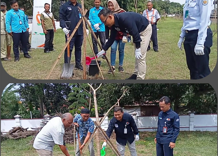 Peduli Pelestarian Lingkungan, PT KAI Daop 3 Cirebon Tanam 200 Pohon di Stasiun 