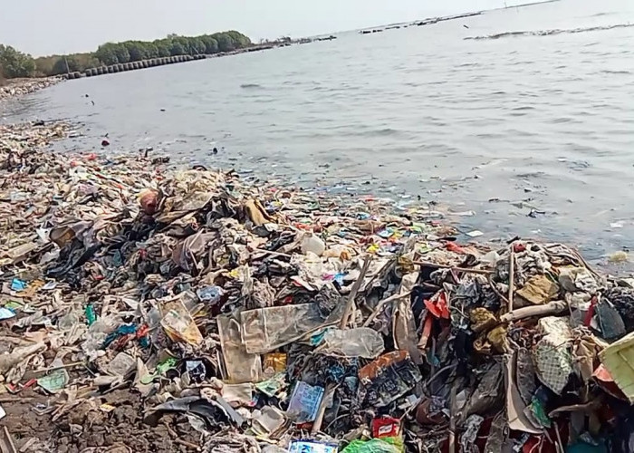 Parah! Sampah Kembali Menumpuk di Bibir Pantai Kesenden