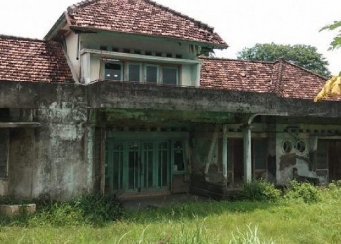 4 Tempat Angker di Cirebon, Siluman Buaya Putih-Seramnya Beringin Tua 