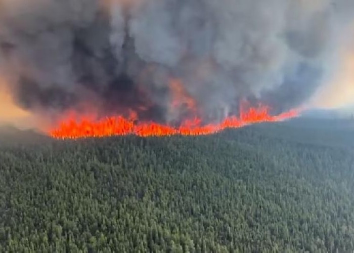 Inilah Efek Kebakaran Hutan Bagi Psikologi Warga Kanada