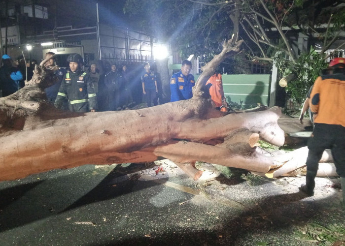 Fenomena Angin Kencang di Cirebon dan Sekitarnya, Dipengaruhi Angin Kumbang Gunung Ciremai 