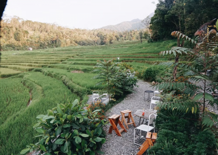 Bosan Nongkrong di Kota? Ini 5 Cafe Bernuansa Sawah dan Pegunungan di Kuningan yang Bikin Betah