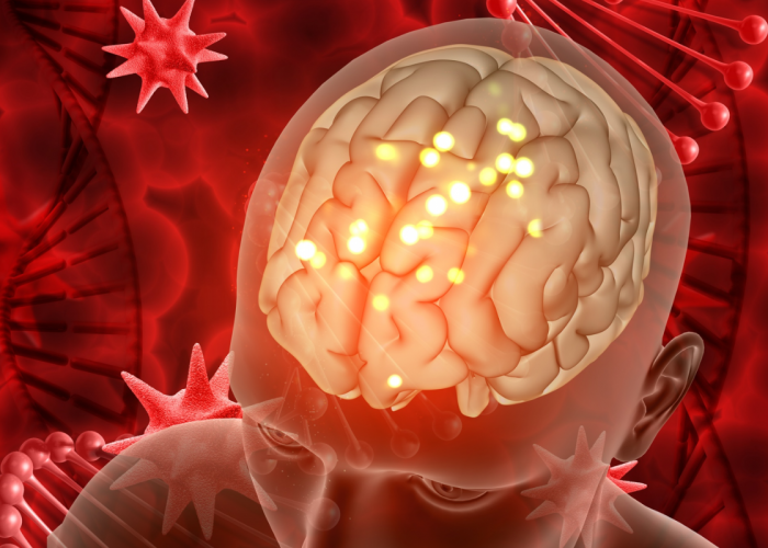 Kenali Brain Rot: Ancaman Nyata dari Kecanduan Short Video yang Bikin Fokus Menurun