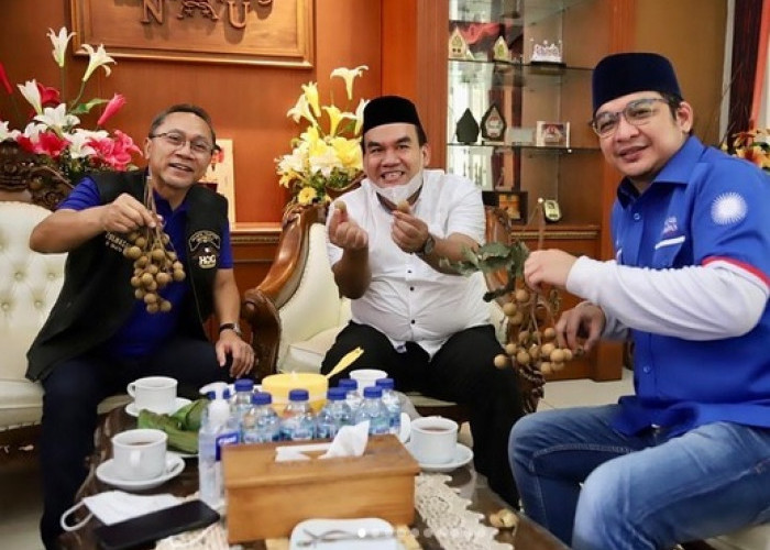 Pasha Ungu Siap Jadi Calon Bupati Majalengka, Ketua DPD PAN: Jakarta-Majalengka Cuma 2 Jam