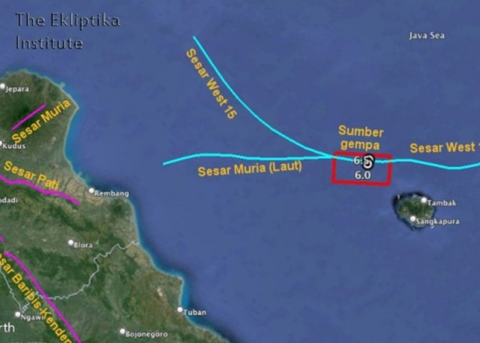 Mengenal Sesar Muria (Laut), Penyebab Gempa Bawean 2024, Patahan Tua di Laut Jawa