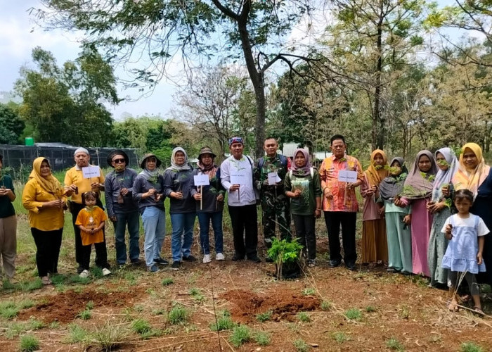 Didatangkan Langsung dari Bandung, Waduk Setupatok Ditanami Ribuan Pohon Albasia