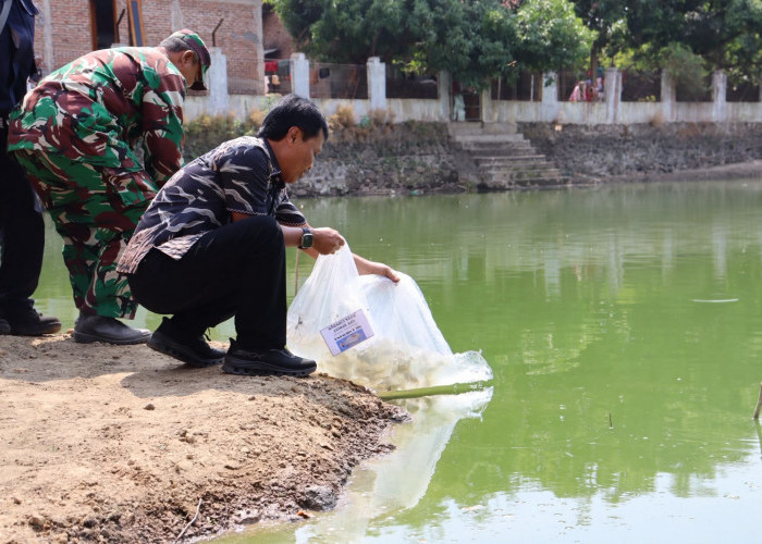 Wali Kota Cirebon Optimalkan Budidaya Ikan untuk Tingkatkan PAD dan Dukung Penanganan Stunting