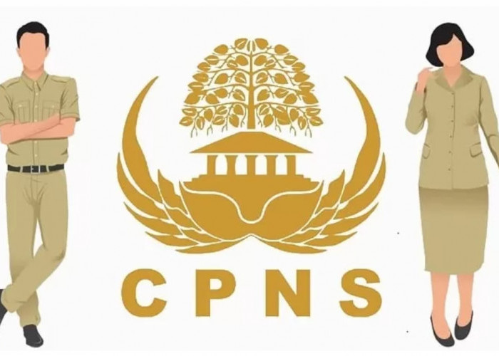 CPNS 2024: Pemerintah Siapkan 100 Ribu Formasi CPNS Fresh Graduate untuk IKN