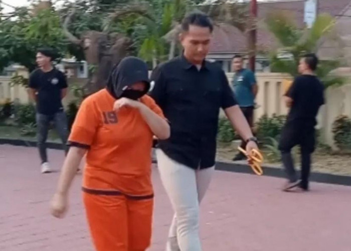 Kasus Dugaan Penipuan Mitra MBG Majalengka, Oknum PPPK Dinkes Ditahan Polisi