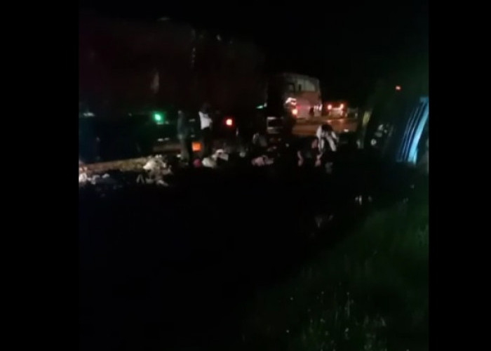 Kecelakaan di Tol Cipali Km 147, Mobil Tertimpa Bus, Korban Sempat Tergeletak di Jalan