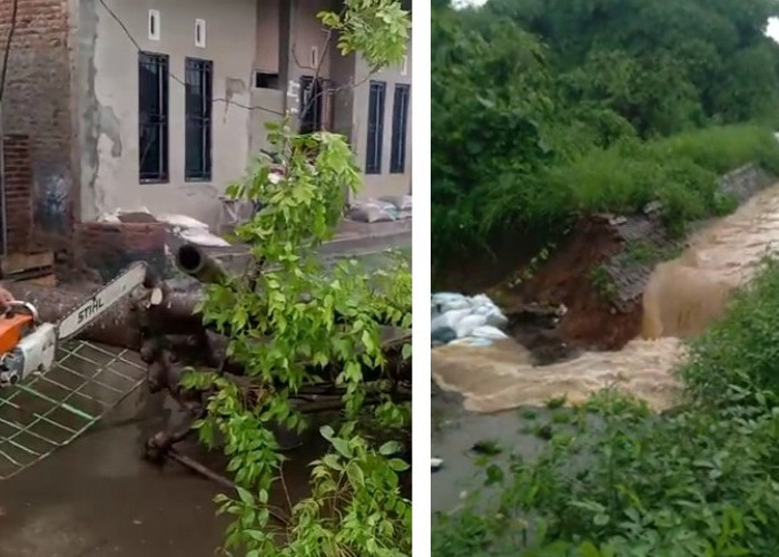 Banjir di Kecamatan Mundu, Kabupaten Cirebon, Pohon Tumbang dan Saluran Irigasi Jebol
