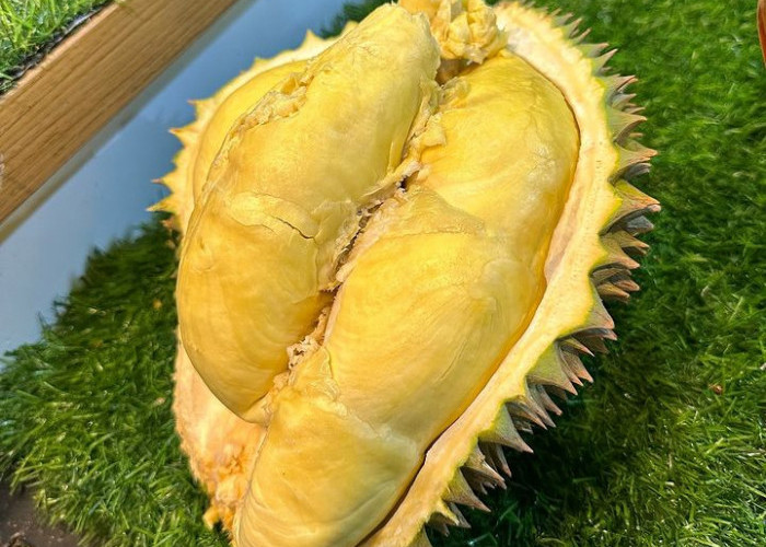 Rajanya Buah, Ini 5 Alasan Durian Sangat Digemari di Seluruh Dunia 