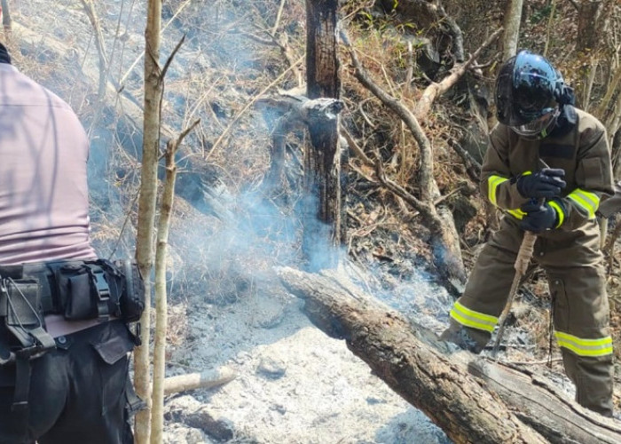 Kebakaran Gunung Ciremain Diselidiki Polisi, Pelanggar Hukum Siap-siap Saja 