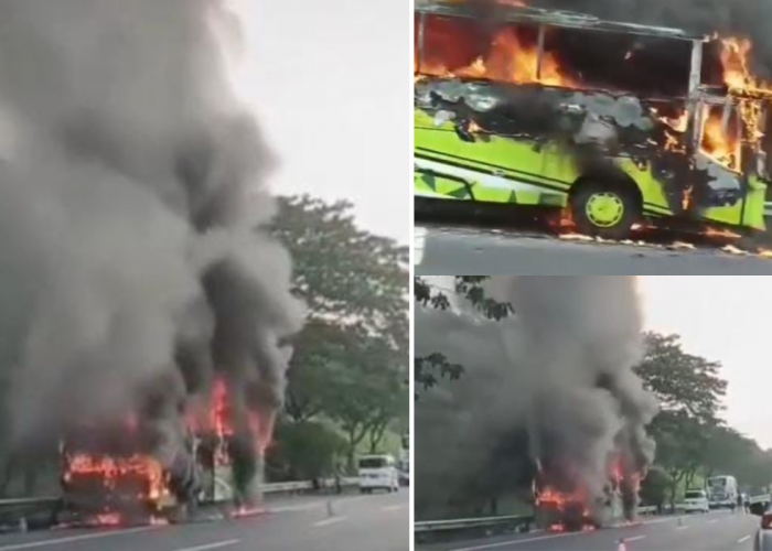 Bus Terbakar di Cipali KM 95 Arah Jakarta, Muncul Asap di Bagian Ini