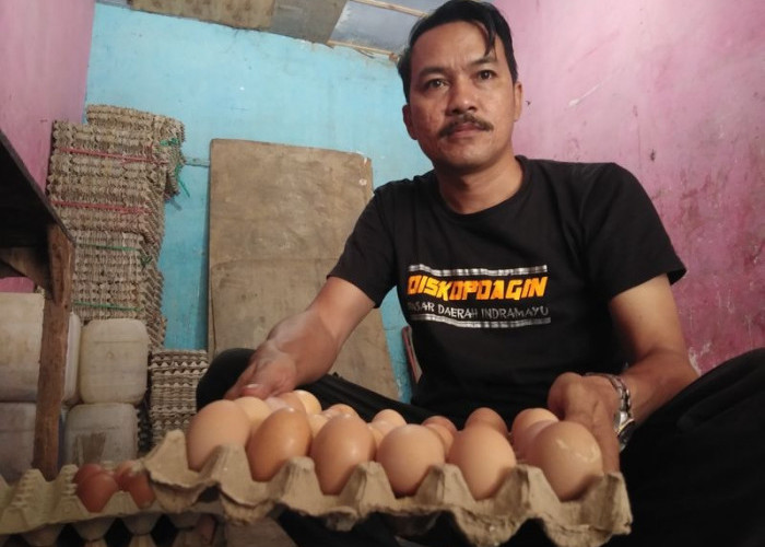 Harga Telur Ayam Rp 32 Ribu di Indramayu, Pedagang Bawa-bawa Bansos