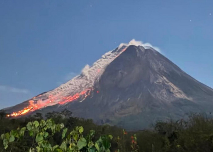 Gunung Merapi Erupsi, Luncuran Lava hingga 2 Km