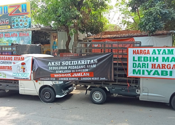 Lebaran Idul Adha Terancam tanpa Opor Ayam, Pedagang di Cirebon Sempat Mogok, di Pasaran Langka?