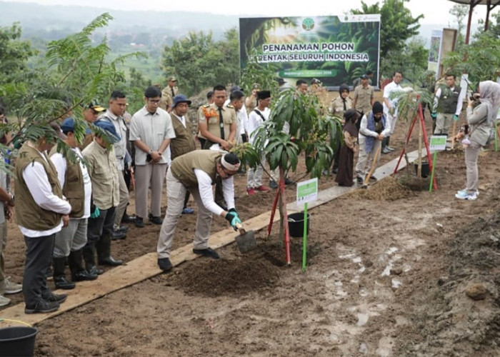 Aksi Penanaman Pohon di Majalengka, Kemenhut dan Pertamina EP Hijaukan 6,3 Hektare Lahan DAS