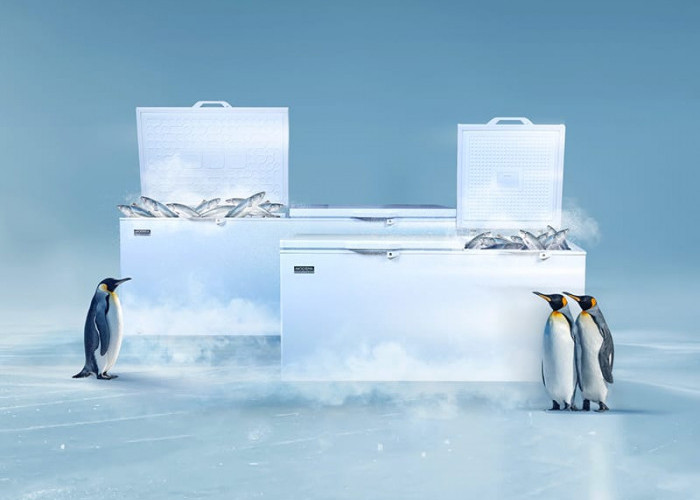 Modena Perkenalkan Chest Freezer Terbaru, Solusi Andal untuk Berbagai Sektor Usaha