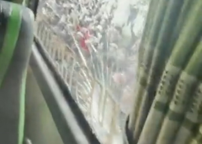 Duh, Ada-ada Saja! Bus Timnas Thailand Dilempar Batu Saat Masuk ke GBK, Begini Kata Polisi