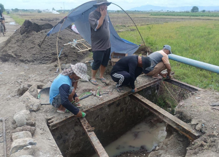 Jembatan Ambruk! Aktivitas Ekonomi di Dua Desa Ini Terencam Kolaps, Pemerintah Segera Turun Tangan 