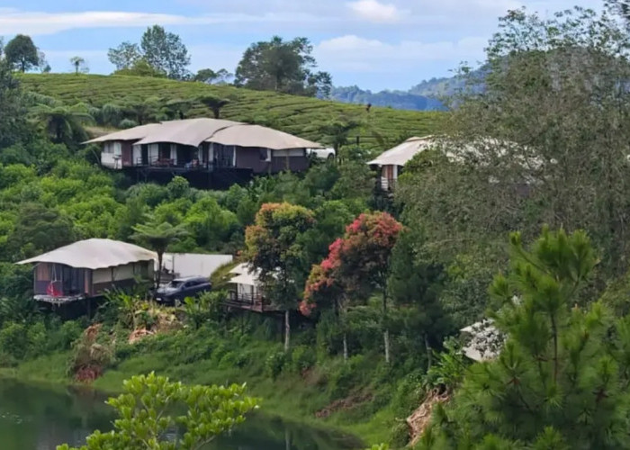 Libur Nataru, Glamping Lakeside Ciwidey Siap Total! Tiket Mulai Rp25 Ribu, Wahana Makin Lengkap