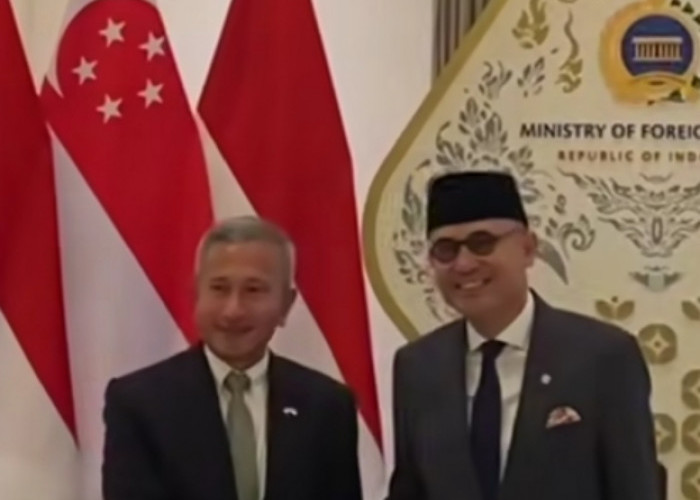 Indonesia-Singapura Sepakat Bentuk Satgas Karhutla, Korporasi Pelaku Kebakaran Bakal Diburu