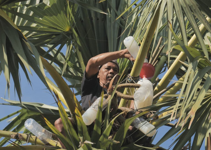 Desa Hendrosari Bangkit: Pembeli Datang, UMKM Tumbuh, Ekonomi Melaju Berkat Pemberdayaan Desa BRILian