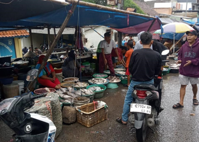 DKPP Gencarkan Safari  Gemar Makan Ikan ke Sekolah dan Masyarakat