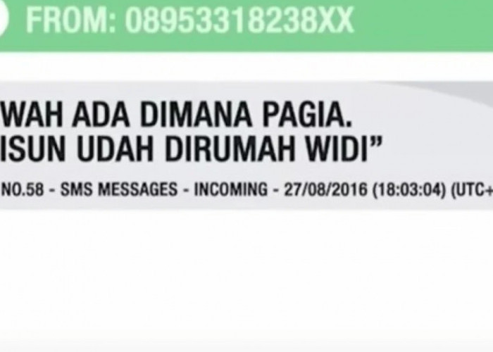 Jam 22.14 WIB, Vina Masih Chat Winda, Semua Kesaksian Terbantahkan, Reza Indragiri Bilang Begini