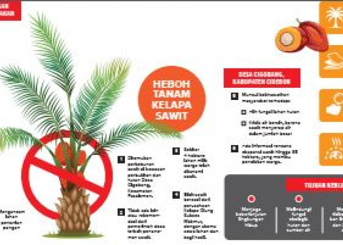 Gubernur Jabar Larang Sawit, Majalengka Konsisten Tolak, Warga Cigobang Cemas Krisis Air