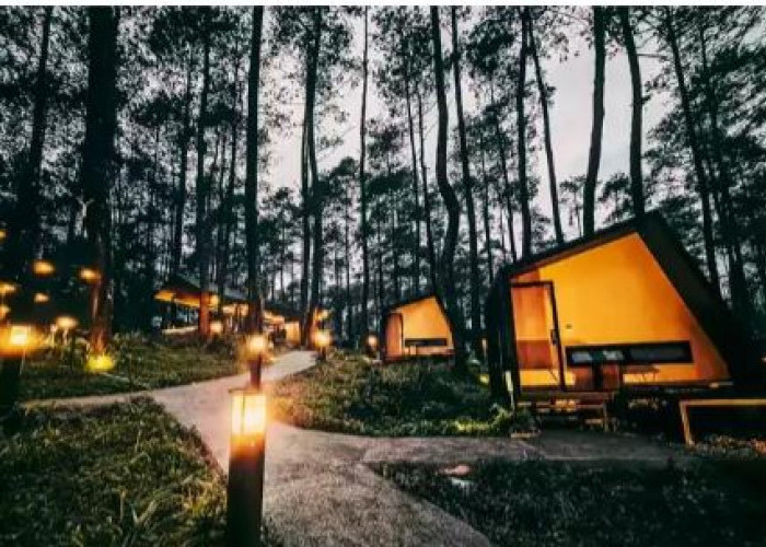 Inilah Kelebihan Glamping, Nikmati Sensasi Bermalam di Alam dengan Nyaman dan Mewah!