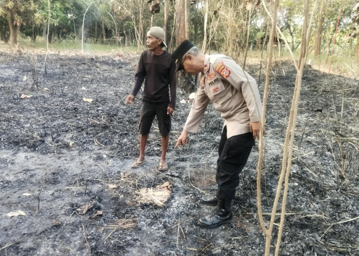 Diduga Terbakar Saat Bersihkan Kebun, Lansia di Lemahabang Cirebon Ditemukan Tewas