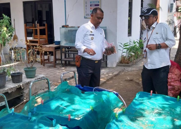Inovasi Atasi Sampah Organik, Camat Kesambi Inisiasi Budidaya Cacing untuk Bank Pakan