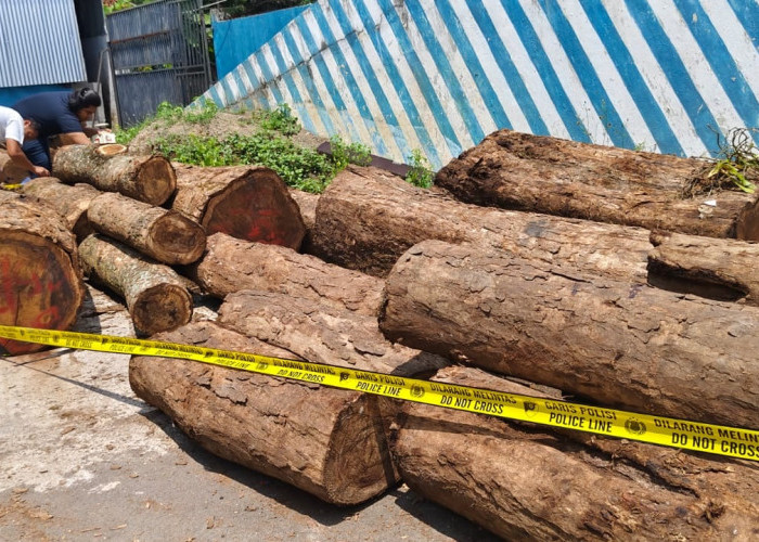 Polres Kuningan Tetapkan Lima Tersangka Pembalakan Liar di TNGC