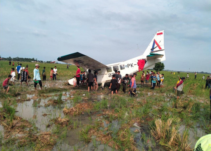 Bukan Jatuh, Pesawat Cessna Penerbangan Tangerang - Cirebon Melakukan Pendaratan Darurat di Sawah