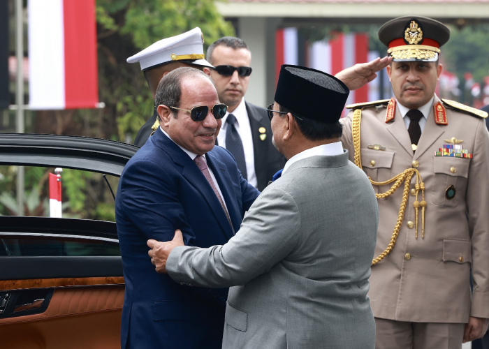 Bertemu di Jakarta, Indonesia dan Mesir Satu Suara Dukung Kemerdekaan Palestina