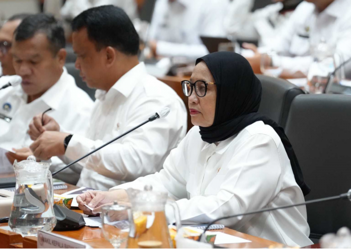 Nanik S Deyang Diteror saat Jadi Ketua BGN, Akui Trauma Pegang Anggaran Besar