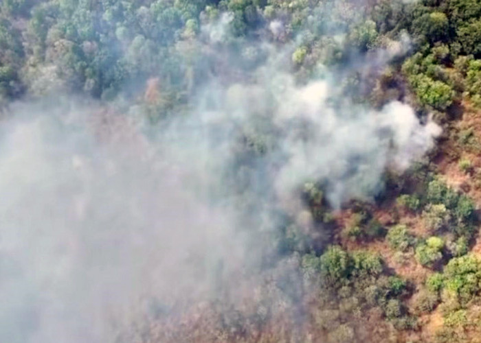 Kebakaran Hutan Melanda 3 Blok di Gunung Ciremai, Api Belum Padam