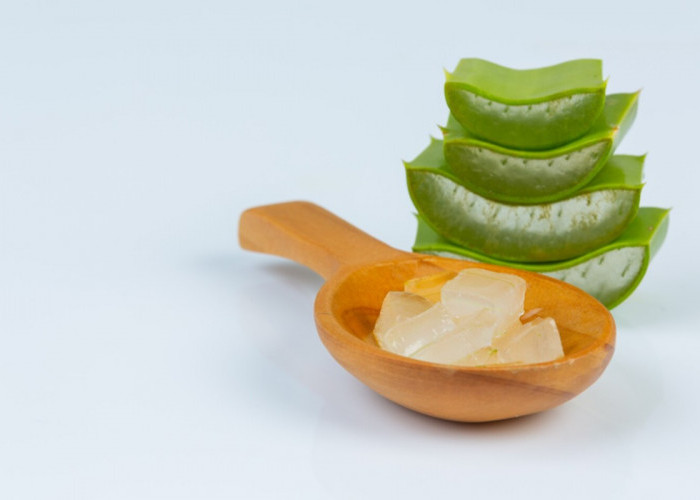 Dari Tanaman Pekarangan Jadi Cuan: Rahasia Sabun Cuci Muka Lidah Buaya yang Aman dan Laris