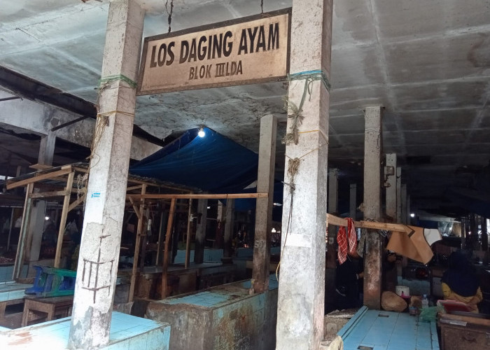 WADUH! Pedagang Ayam Wilayah Cirebon Mogok Jualan dan Mau Demo, Gara-gara Harga Naik Terus