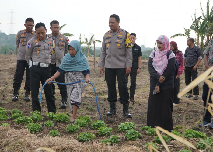 Manfaatkan Lahan, Kapolres Ciko Dukung Petani Jalankan Program Ketahanan Pangan di Mundu