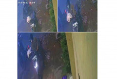 Curanmor di Cirebon: Honda Beat Raib, Korban Karyawati Pet Shop