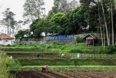 Jangkau 5.245 Desa BRILiaN, BRI Perluas Dukungan bagi Pengembangan Ekonomi Desa