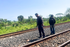 Tragis! Pemuda Cirebon Tertemper KA Harina Surabaya-Bandung di Jalur Rel Mundu