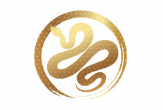 Ramalan Shio Ular Tahun 2026: Rezeki Menguat, Karier Melonjak, Tapi Ada Ujian Emosi